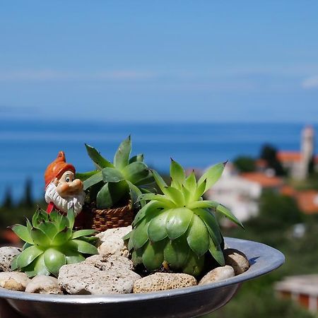 Apartments Mateljak Gradac  Zewnętrze zdjęcie