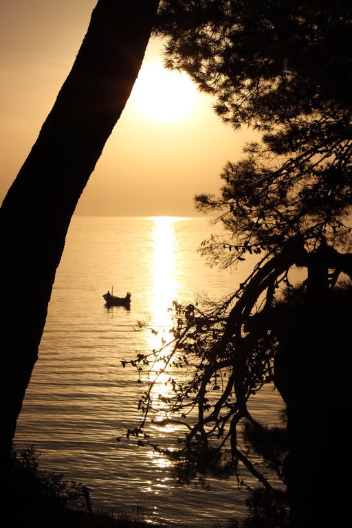 Apartments Mateljak Gradac  Zewnętrze zdjęcie