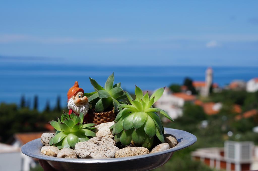 Apartments Mateljak Gradac  Zewnętrze zdjęcie