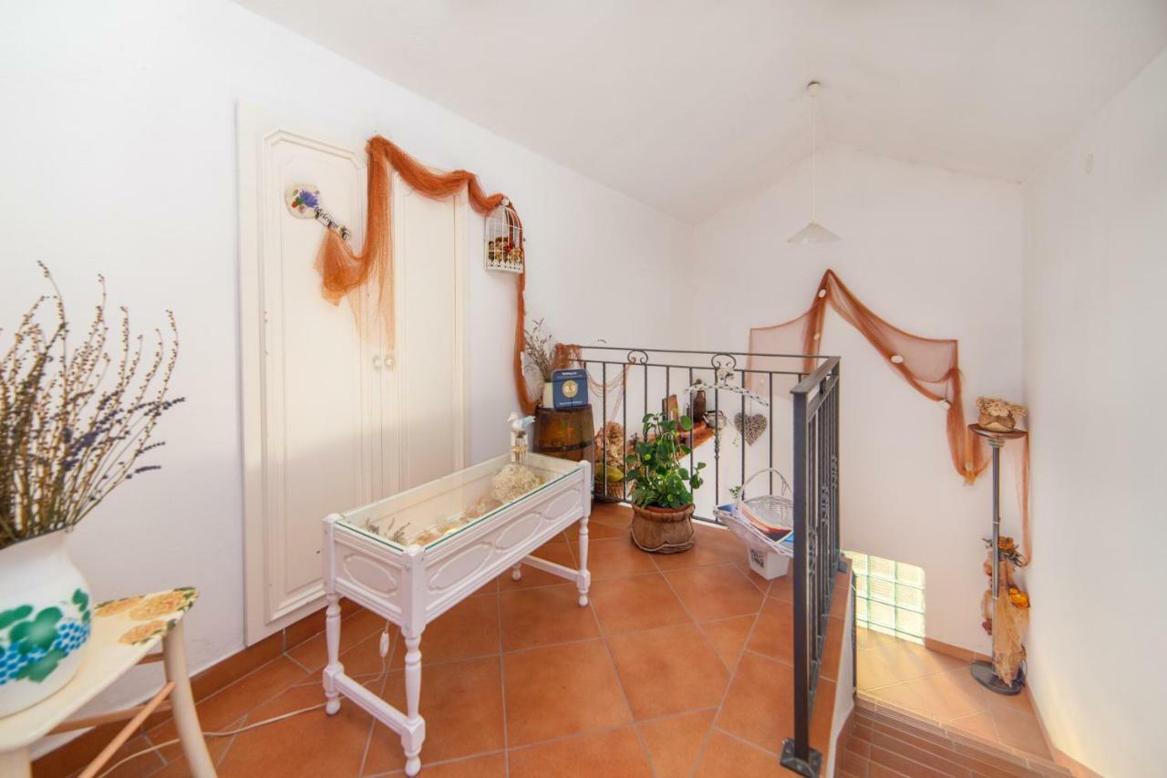 Apartments Mateljak Gradac  Zewnętrze zdjęcie